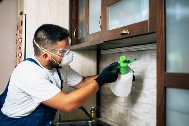 Best Cockroach Control Services  in St Bonifacius, MN