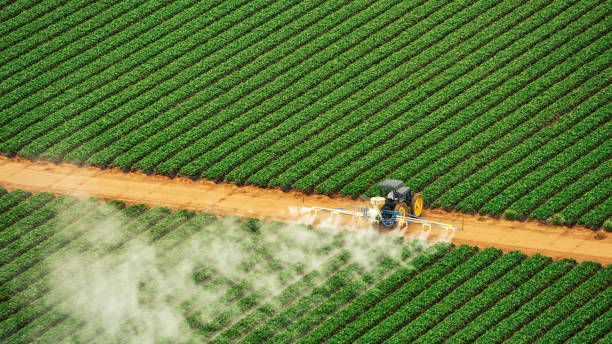 Pest Control Cost in St Bonifacius, MN